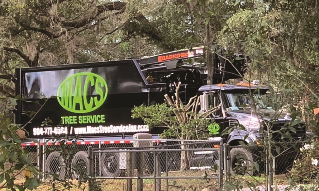 Product image for Macs Tree Service $250 OFF tree service of $1500 or more. 