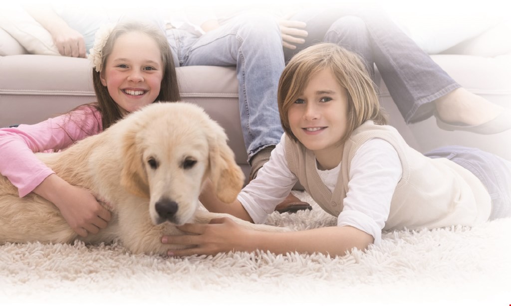 Product image for K & C Chem Dry $25 OFF 3 rooms pet odor removal