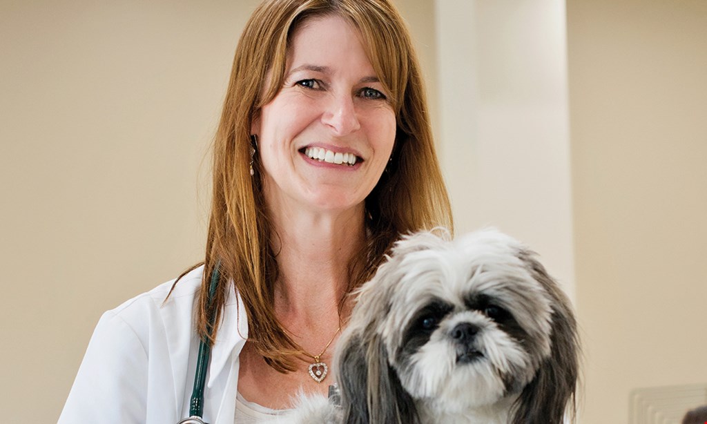 Product image for Rancho West Animal Hospital $499 dental special includes pre-anesthetic bloodwork, IV catheter & fluids, pain injection & antibiotic injection.