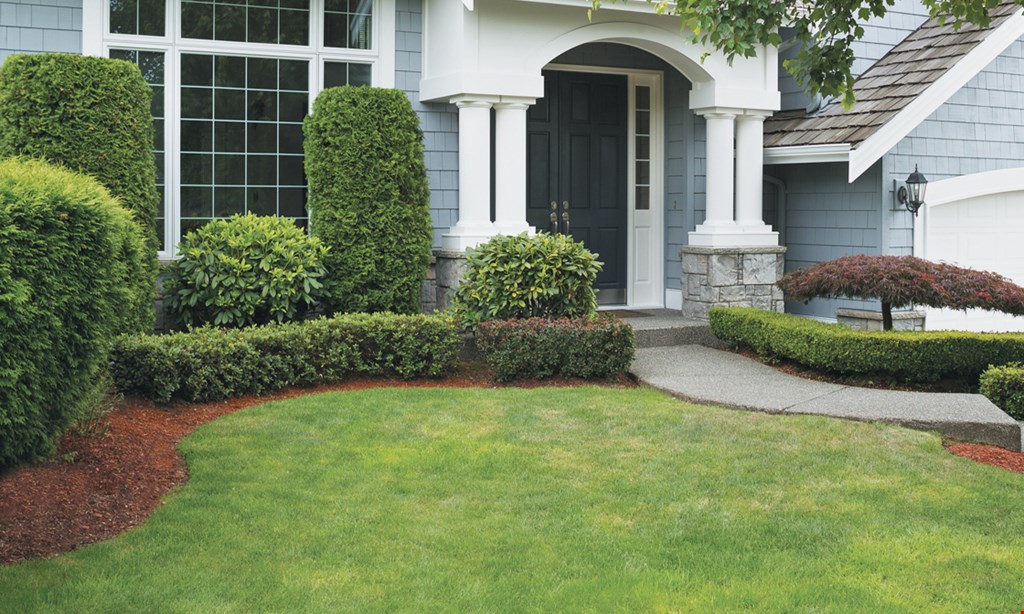 Product image for All American Lawn & Tree Specialist Landscape Makeovers as low as $399.99