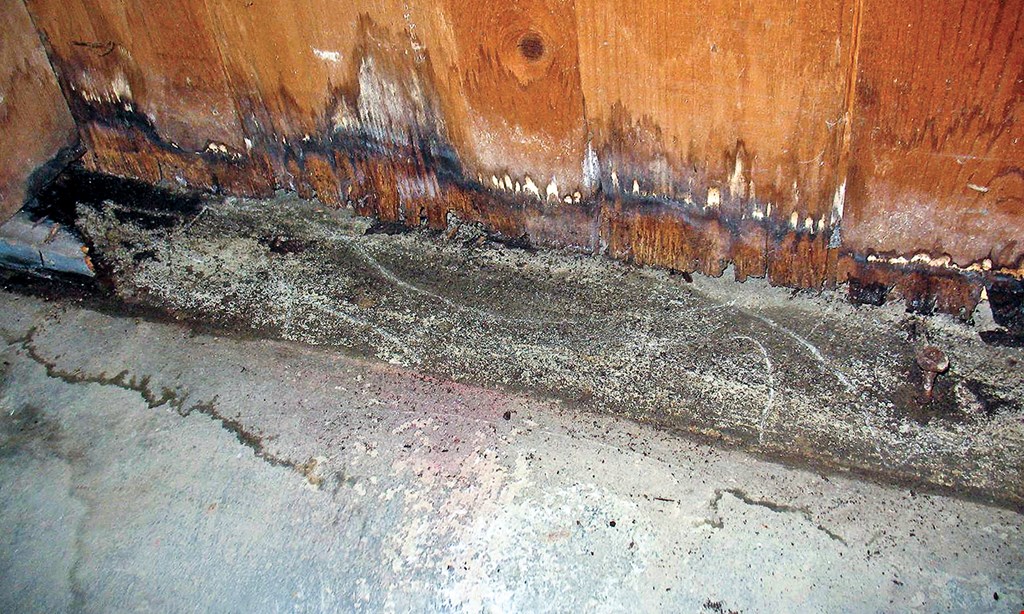 Product image for Acclaimed Water Damage FREE Mold Inspection. 