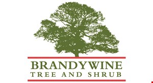 Product image for Brandywine Tree & Shrub Ask About Our Spring Savings/Price-Matching Program $150 off any job over $1,500. 