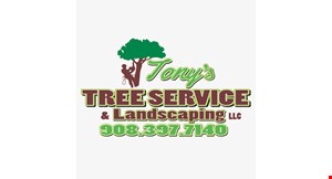 Tony'S Tree Service And Landscaping logo