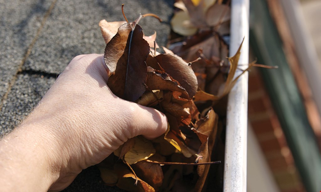 Product image for East Gutter Cleaning $50 off power washing (min. $450). 