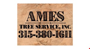 Product image for Ames Tree Service Inc. $30 OFF any job of $500 or more.