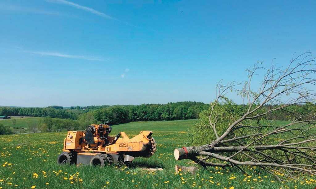Product image for Ames Tree Service Inc. 10% off brush mowing & lot clearing $500 limit. 