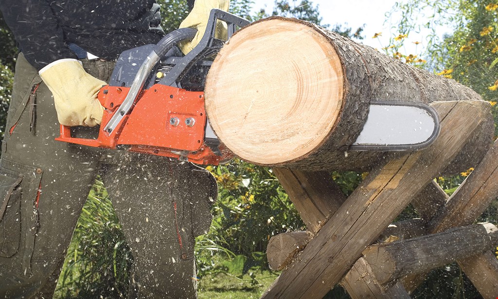 Product image for Cheap And Great Tree Services Free Stump Grinding With Any Job $350 Or More.