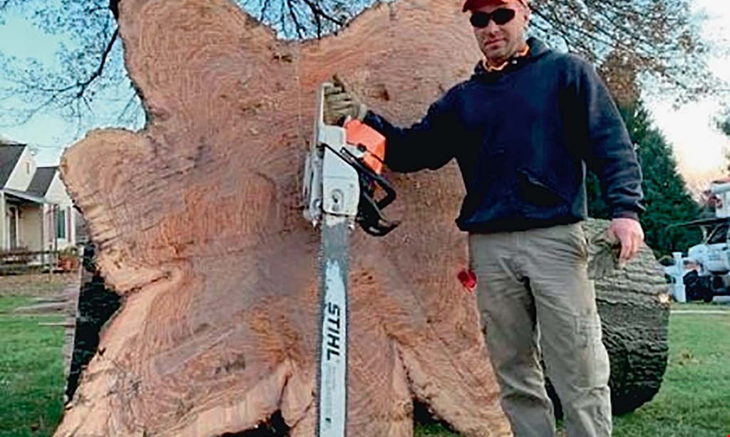 Product image for Northern Berks Tree Service $150 OFF $1,000 -$2,500 for Tree Service. 