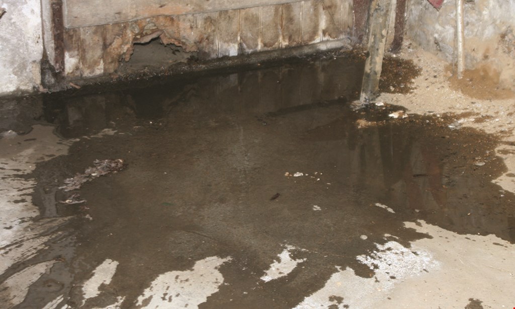 Product image for Frank's Basement Systems/Frank's Mr. Plumber $60 Off sewer cleaning. 