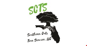 Product image for Southern Cuts Tree Service, llc $100 off any project of $500 or more. 