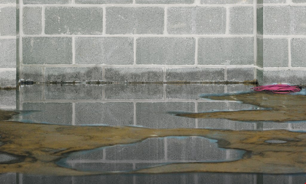 Product image for Hard Knox Waterproofing FREE basement inspection and consultation.