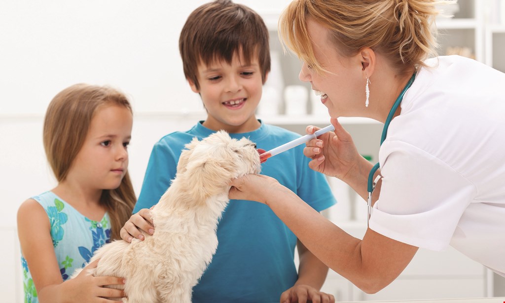 Product image for PetWell Clinic -Emory Rd FREE1 Year Rabies Vaccine with any vaccine package. 
