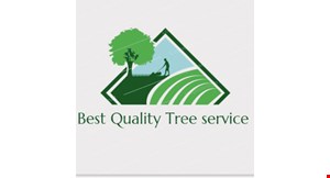 Best Quality Cleaning Service logo