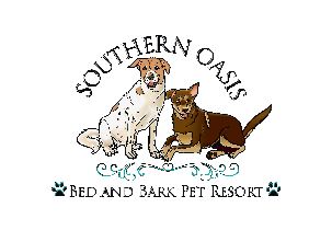 Bark sales pet resort