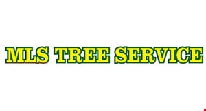 Product image for MLS Tree Service $75 off any tree service 
