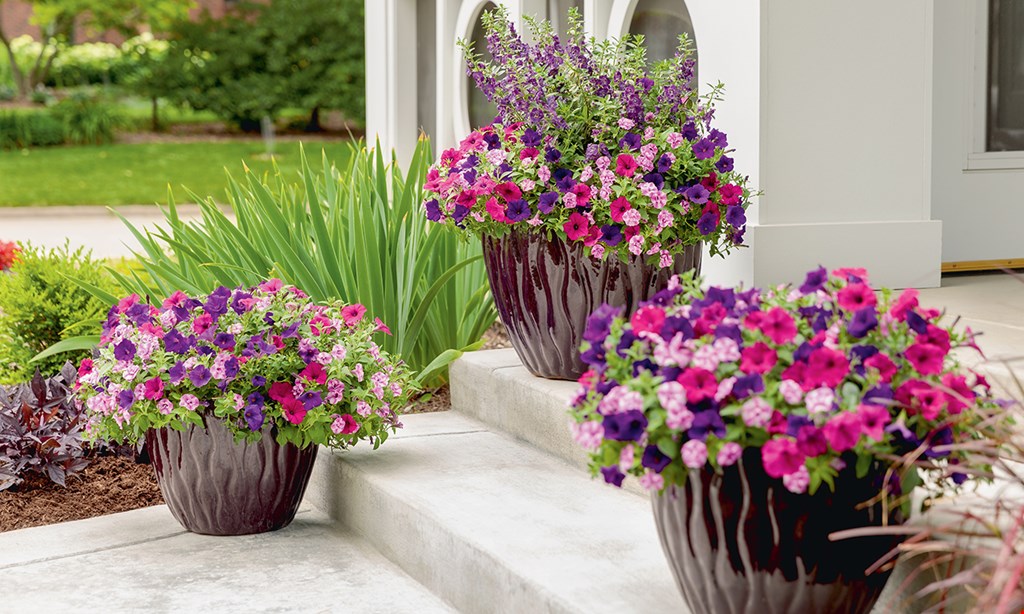 Product image for 4 Seasons Garden Center $5 off any purchase of $50 or more.