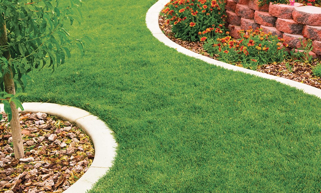 Product image for Salt City Lawn 50% off first treatment with purchase of seasonal agreement (up to 10,000 sq ft).