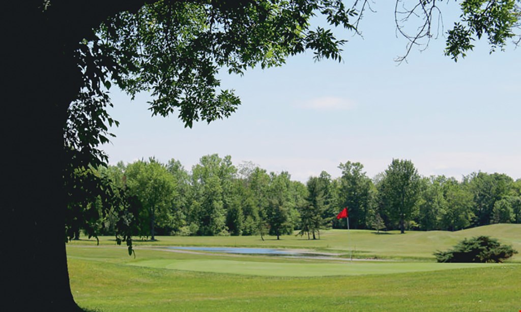 Product image for Northern Pines Of Cicero Morning Special only $30 18 holes & cart valid Mon.-Fri. before 11am.