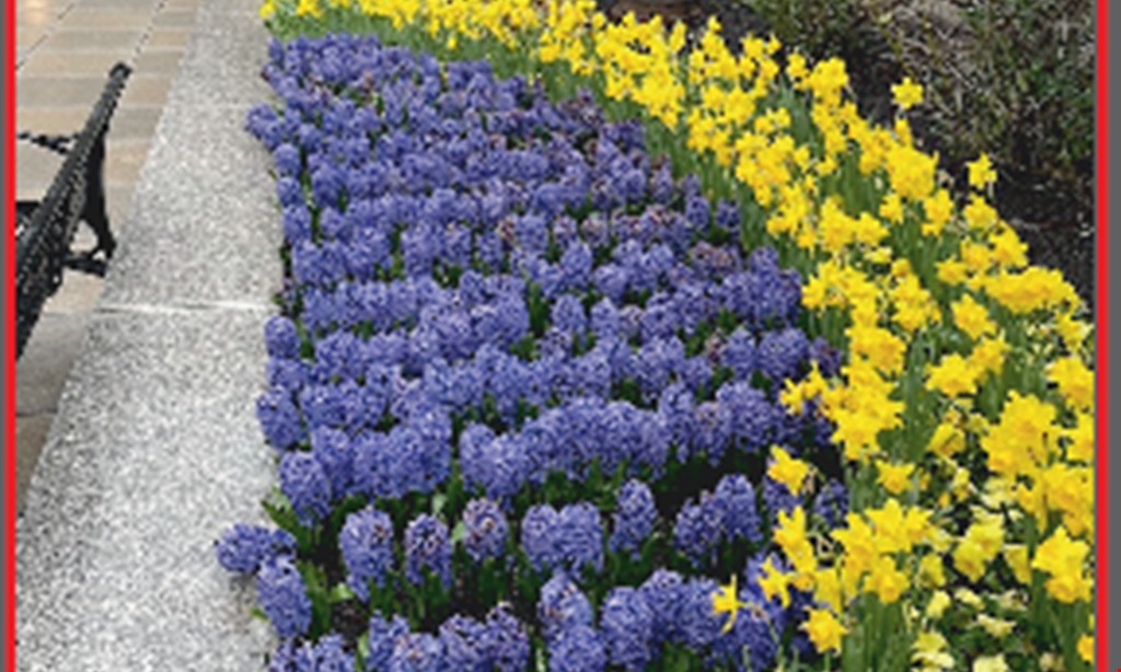 Product image for KELLY'S LANDSCAPING INC. 10% off spring cleanup 