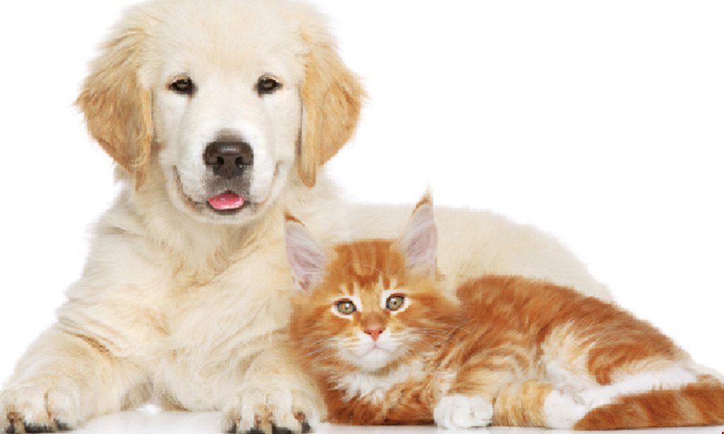 Product image for PetWellClinic - Union $30 Off any puppy & kitten package (Reg. $335). 
