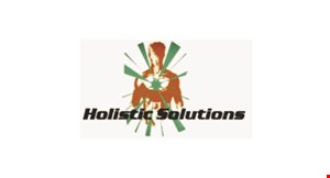 Holistic Solutions logo