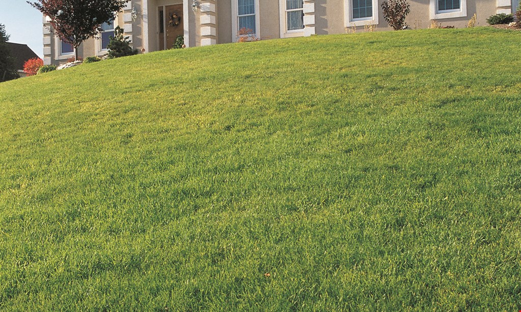 Product image for Emerald Greens Lawn Care free fertilizer with core aeration and seeding service up to a $35 value.