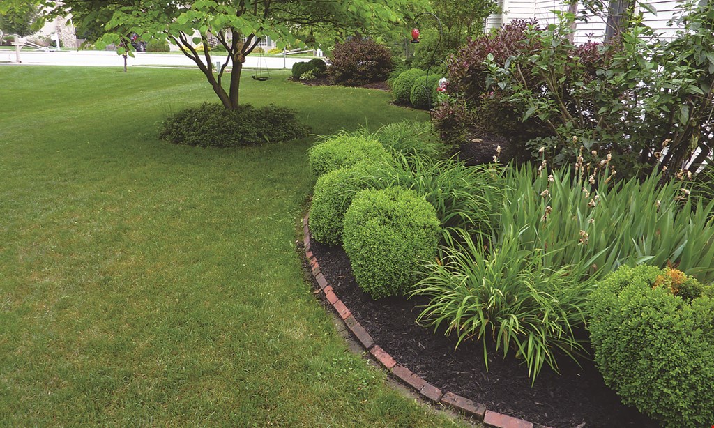 Product image for West Penn Landscaping $100 off any job of $500 or more. 