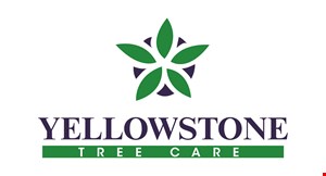 Yellowstone Tree Care logo