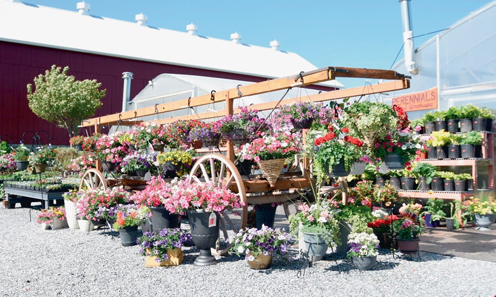 Product image for Landisville Greenhouse $5 off any purchase of $50 or more. 