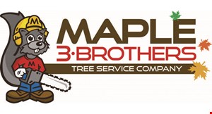 Maple 3 Brothers Tree logo