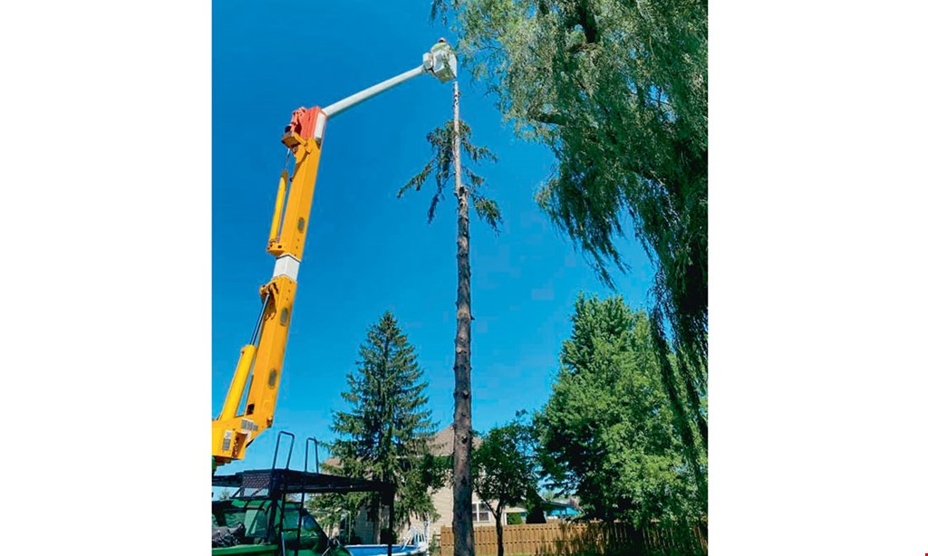 Product image for Heinz Tree And Land Services Llc $50 off any job of $500 or more or $100 off any job of $1000 or more or $200 off any job of $2000 or more.