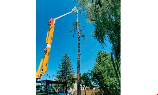 Product image for Heinz Tree And Land Services Llc $50 off any job of $500 or more OR $100 off any job of $1000 or more OR $200 off any job of $2000 or more