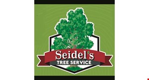 Product image for Seidel'S Tree Service $50 OFF STUMP REMOVAL OVER $300.