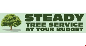 Steady Tree Service logo