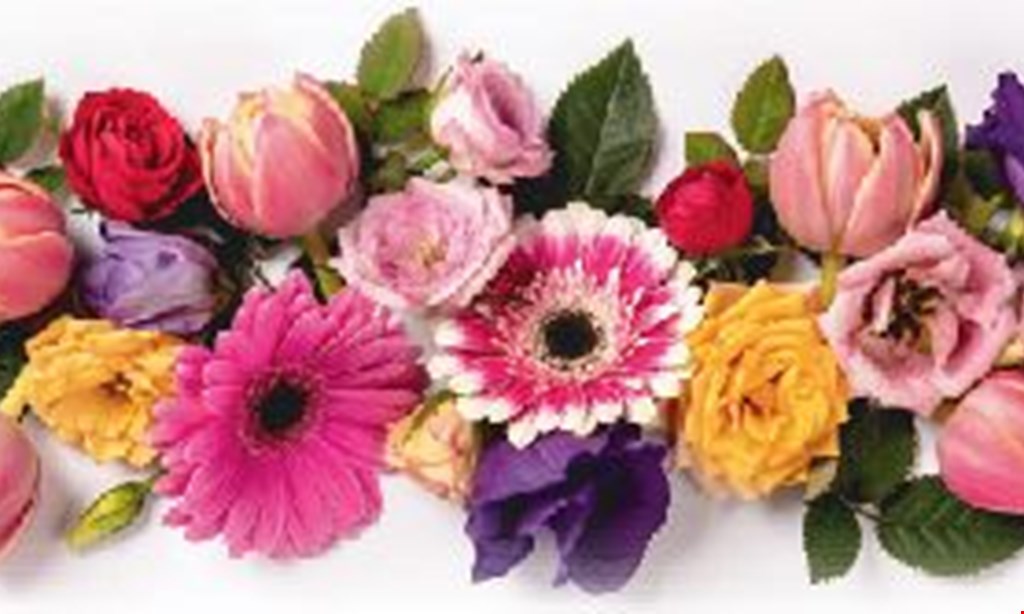 Product image for Powell Florist 20% OFF any in-store gift item of $50 or more. 