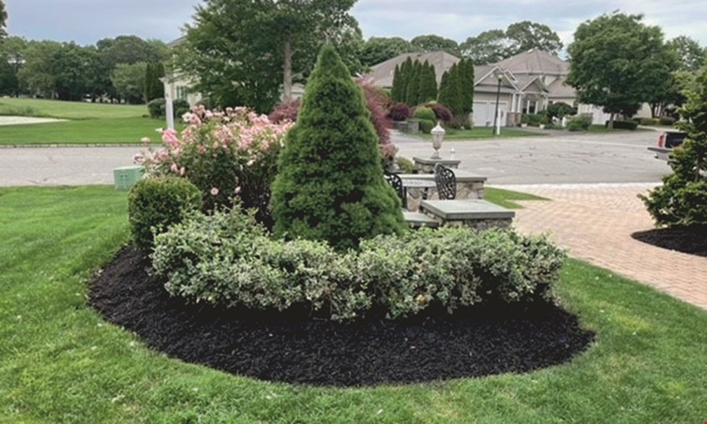 Product image for Budget Landscaping & Design 10% OFF any job. 