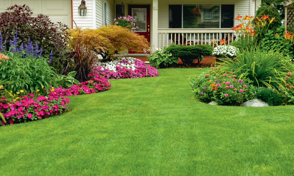 Product image for Schott's Landscaping $250 off any service of $2500 or more. 