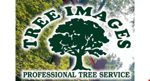Tree Images Professional Tree Service logo