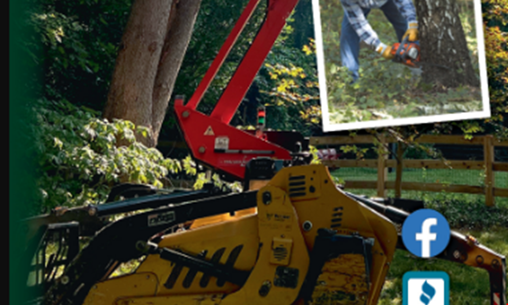 Product image for Tree Images Professional Tree Service Extra 5% off any service of $2,500 or more.