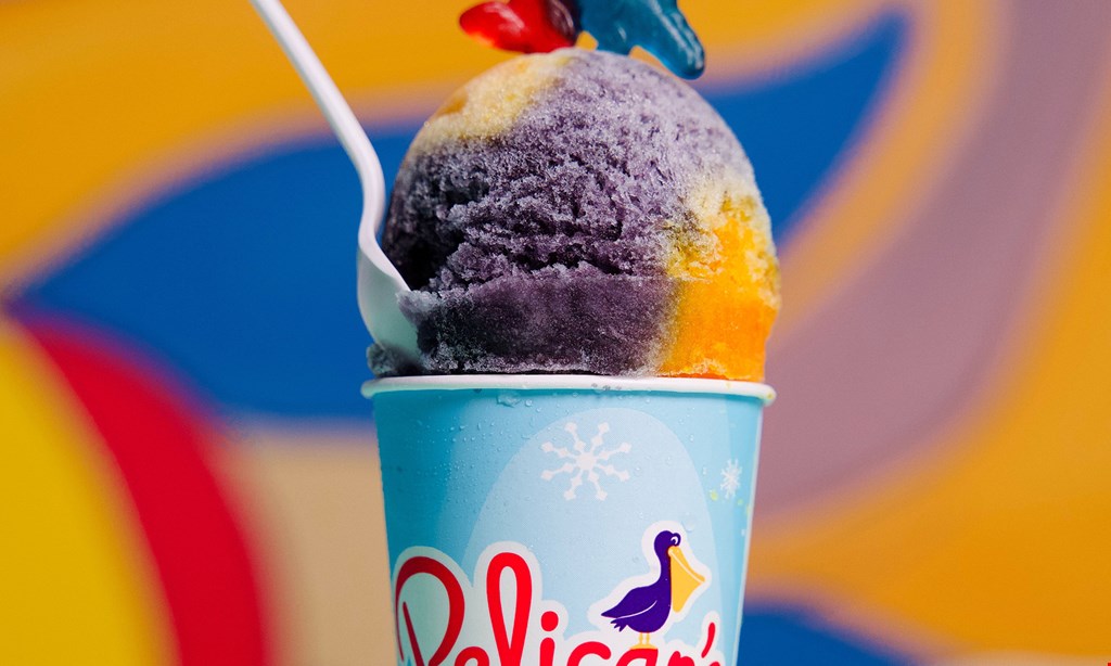 Product image for Pelican's Snoballs Of Moosic, PA $25 off booked event with paid deposit. 