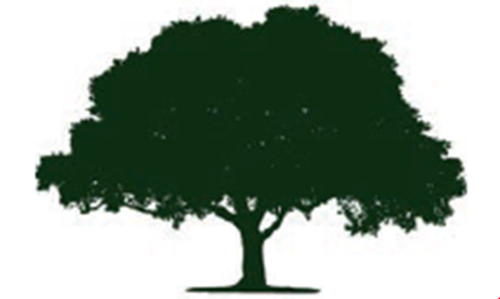 Product image for Reverie Tree Experts, Inc. $50 off any job of $350 or more