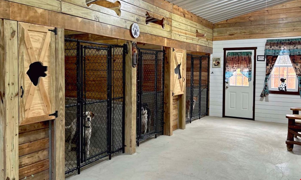 Product image for Rockin' Horse Stables - Rockin' Rovers $25 Off Your First Kennel Visit
