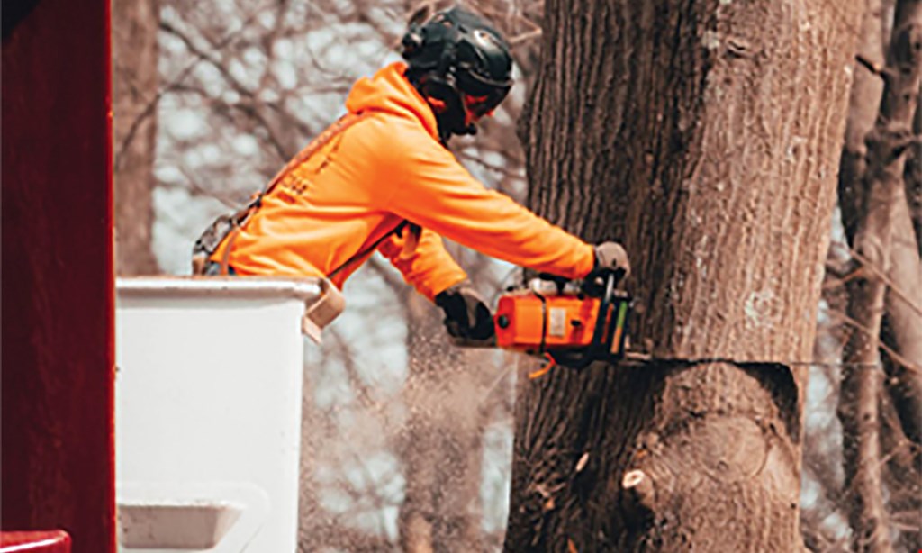 Product image for Barberton Tree Service Mention this ad when scheduling your free estimate for $25 off your tree work total!