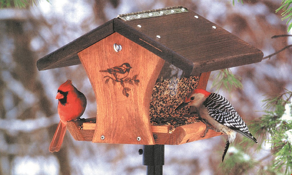 Product image for Wild Birds Unlimited 20% Off One regularly- priced item*