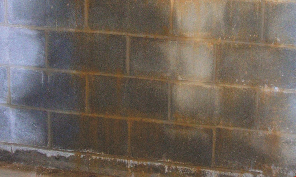 Product image for Everdry Waterproofing $500 off All Services