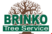 BRINKO TREE SERVICE logo