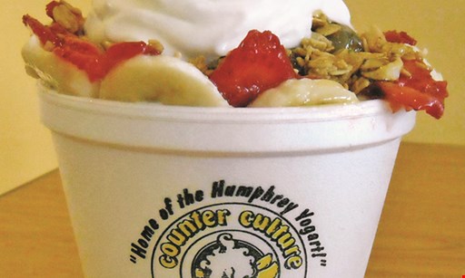 Product image for Counter Culture Frozen Yogurt 50% off small yogurt with purchase of any sandwich