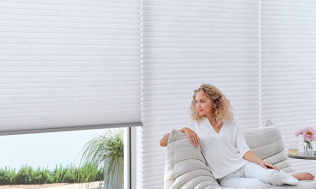 Product image for Blinds and Designs LLC Free LiteRise® Lifting System on Duette® Honeycomb Shades