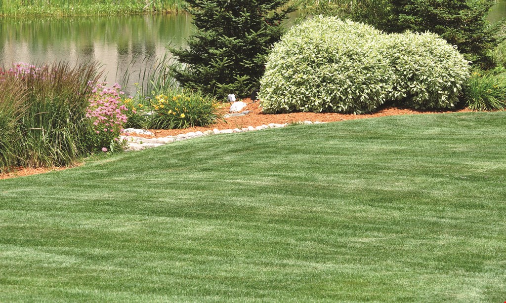Product image for Picture Perfect Landscaping & Lawn New Client Special. $450 OFF any purchase of $3000 or more, excludes mowing • new clients only • max. discount $450.