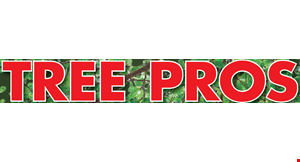 Product image for Tree Pros Tree Service $200 off any job over $1250. 